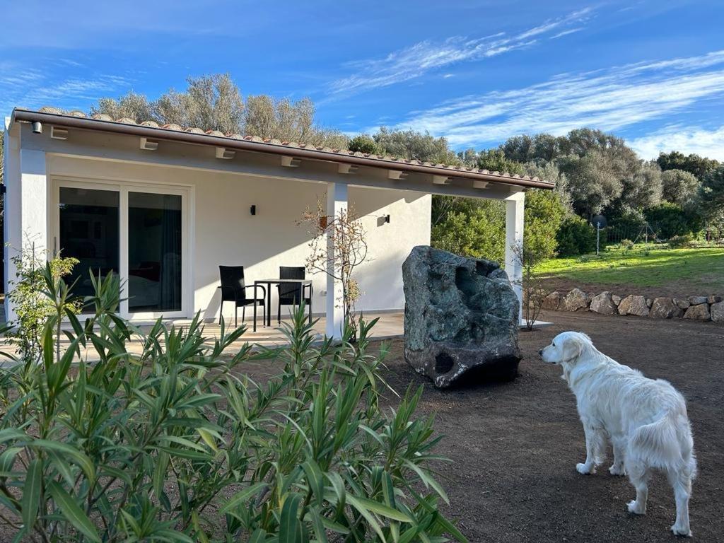 La Piana Holiday House Bassacutena Exterior foto