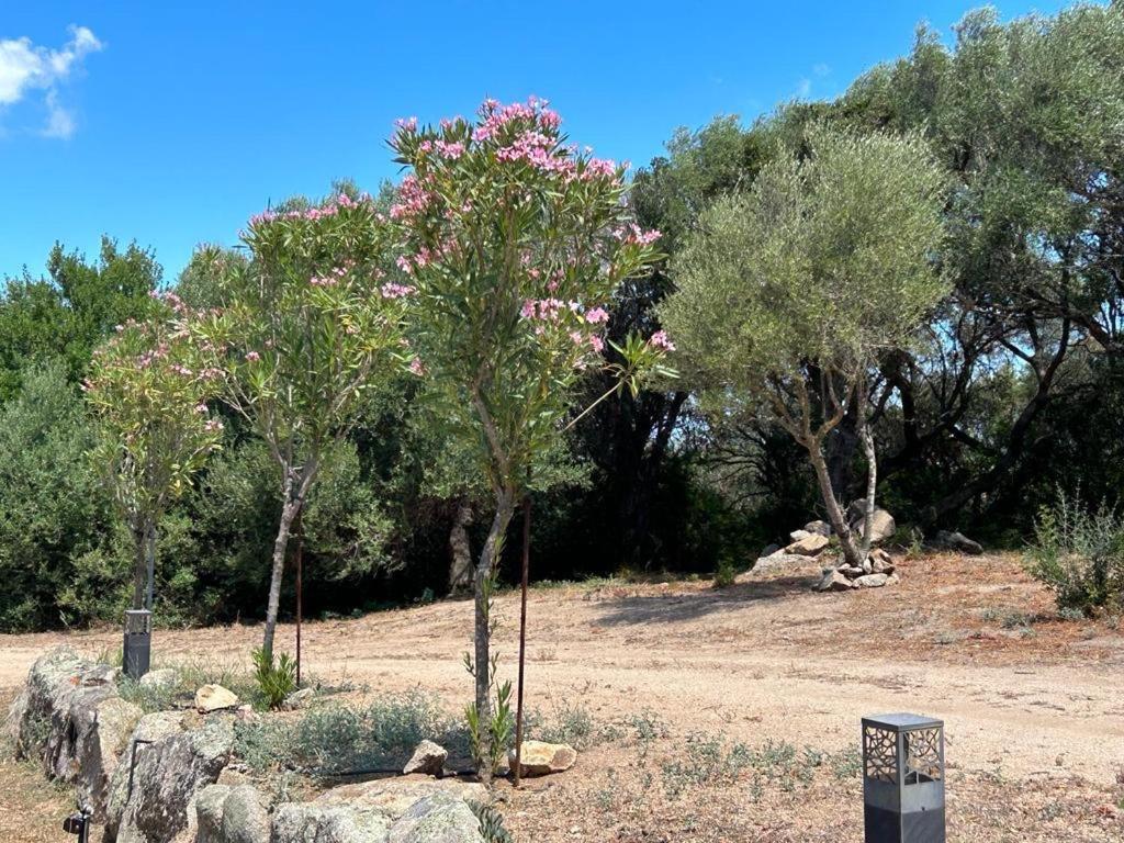 La Piana Holiday House Bassacutena Exterior foto